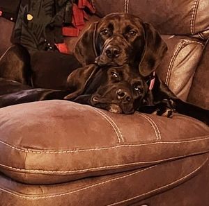 Meet your Posher, Becky